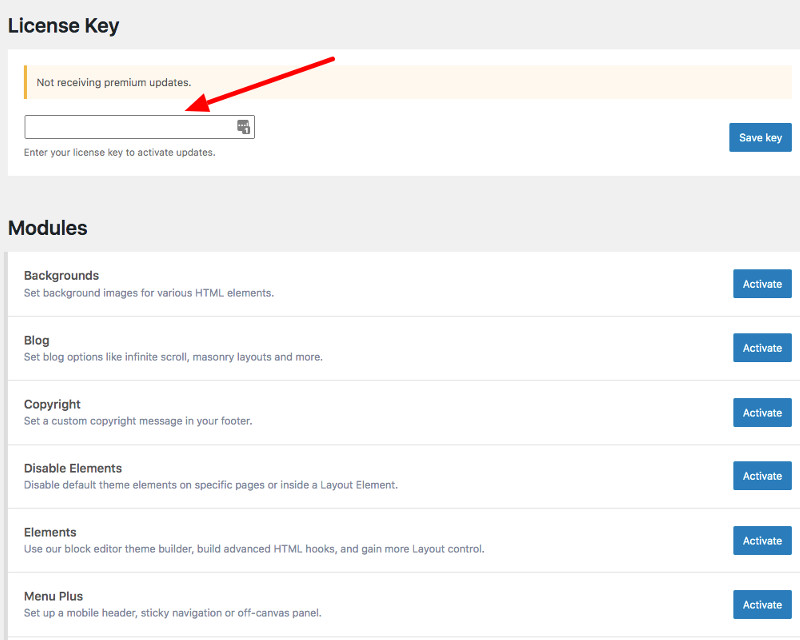 Screenshot for license key for GeneratePress Premium