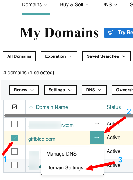 Additional settings for GoDaddy domain
